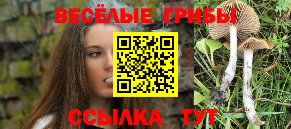 Галлюциногенные грибы Psilocybe  Галлюциногенные грибы мухоморы  Вход с VPN  Мирный 