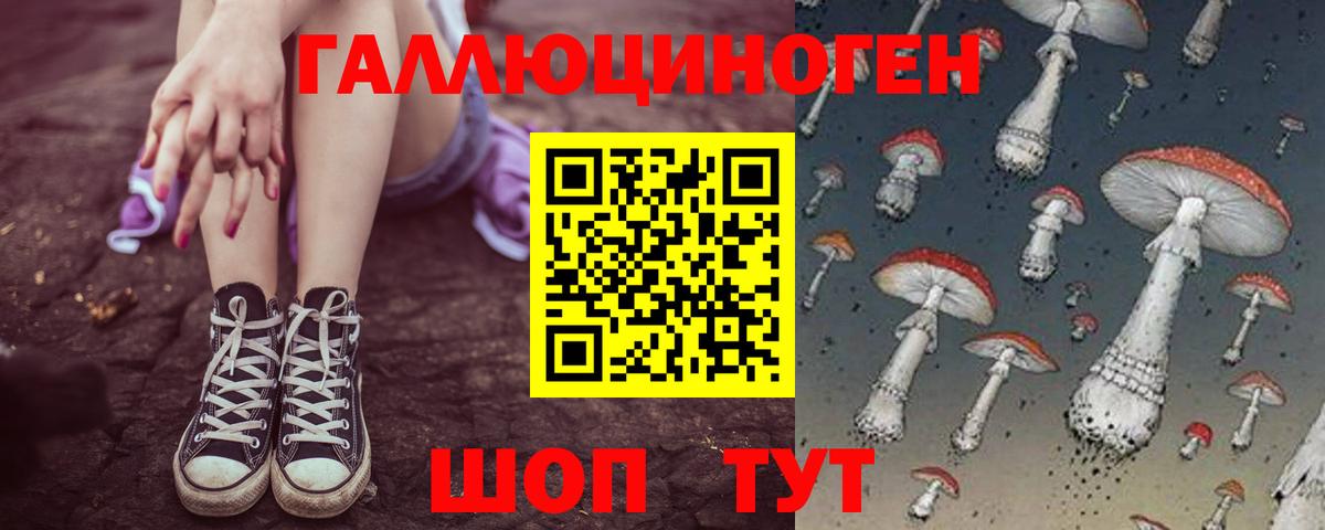 Псилоцибиновые грибы Cubensis Мирный